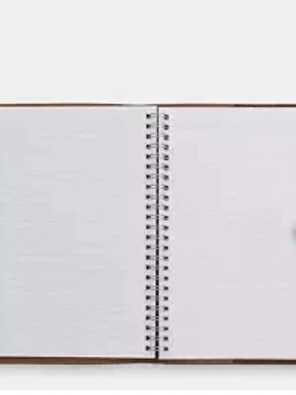 Coach Tan and Brown Signature Canvas Organizer Cover